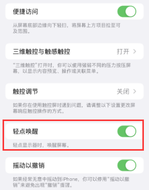 庐阳苹果授权维修站分享iPhone轻点无法唤醒怎么办 