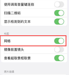 庐阳苹果手机维修网点分享iPhone如何开启九宫格构图功能 