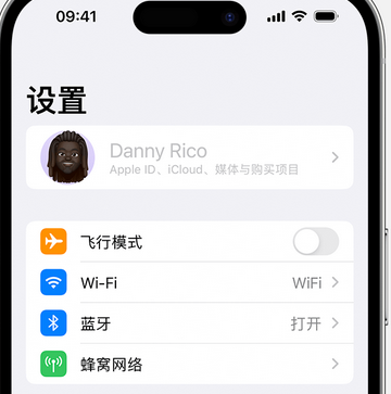 庐阳appleID维修服务iPhone设置中Apple ID显示为灰色无法使用