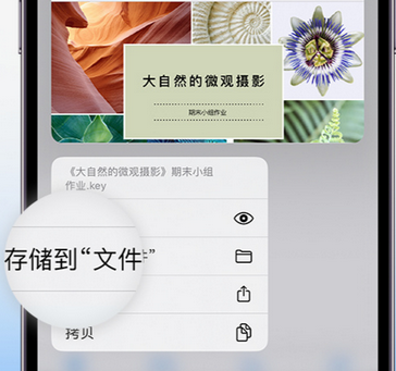 庐阳apple维修中心分享iPhone文件应用中存储和找到下载文件