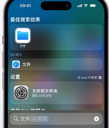 庐阳apple维修中心分享iPhone文件应用中存储和找到下载文件 