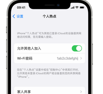 庐阳apple服务站点分享iPhone上个人热点丢失了怎么办 