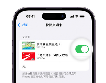 庐阳apple维修点分享iPhone上更换Apple Pay快捷交通卡手绘卡面 