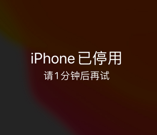 庐阳苹果手机维修分享:iPhone 显示“不可用”或“已停用”怎么办？还能保留数据吗？ 