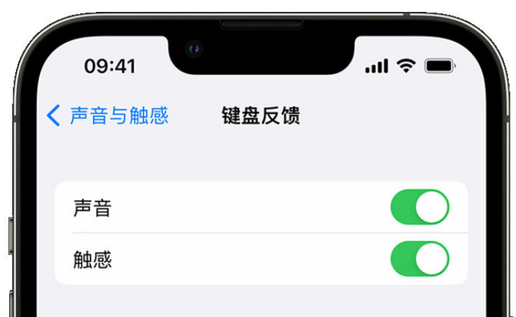 庐阳苹果手机维修分享iPhone 14触感键盘使用方法 