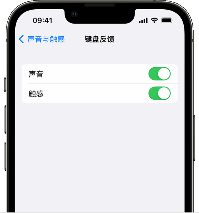 庐阳苹果14维修店分享如何在 iPhone 14 机型中使用触感键盘 