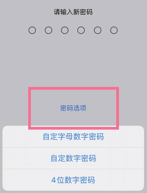 庐阳苹果14维修分享iPhone 14plus设置密码的方法 