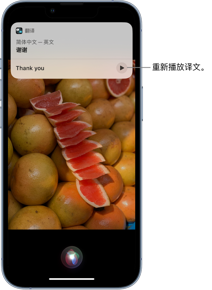 庐阳苹果14维修分享 iPhone 14 机型中使用 Siri：了解 Siri 能帮你做什么 