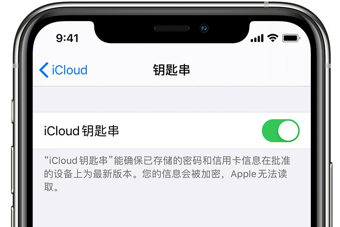 庐阳苹果手机维修分享在 iPhone 上开启 iCloud 钥匙串之后会储存哪些信息 