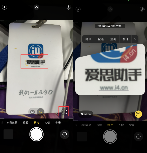 庐阳苹果手机维修分享升级iOS 16后如何通过相机翻译文本 