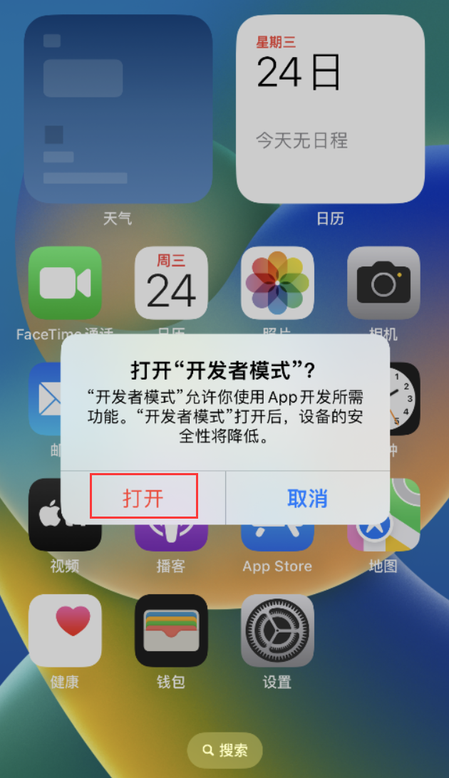 庐阳苹果手机维修分享如何打开开发者模式 