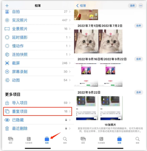 庐阳苹果手机维修分享iOS 16 中相册重复项目功能使用方法 