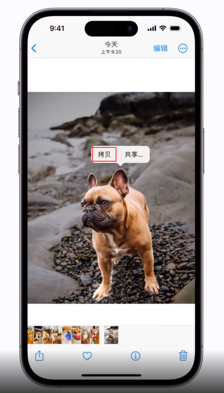 庐阳苹果手机维修分享 iOS 16 自带一键抠图功能 
