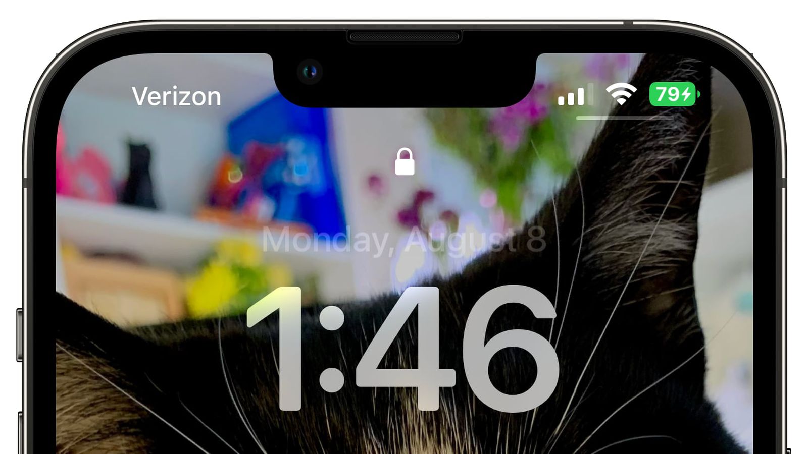 庐阳苹果手机维修分享iOS 16 beta 5 支持状态栏显示电池百分比，如何开启？支持哪些机型 