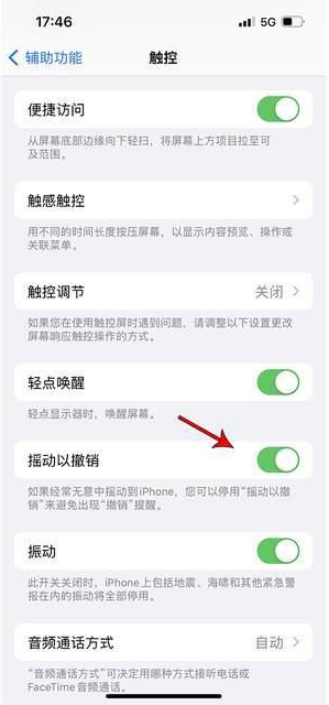 庐阳苹果手机维修分享iPhone手机如何设置摇一摇删除文字 