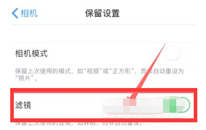 庐阳苹果13维修分享iPhone13拍照有绿点是怎么回事 