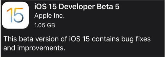 庐阳苹果手机维修分享如何升级到iOS15.0 beta5 
