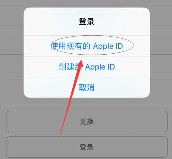 庐阳苹果手机维修分享两台iPhone设备可以同时登录一个Apple ID吗 