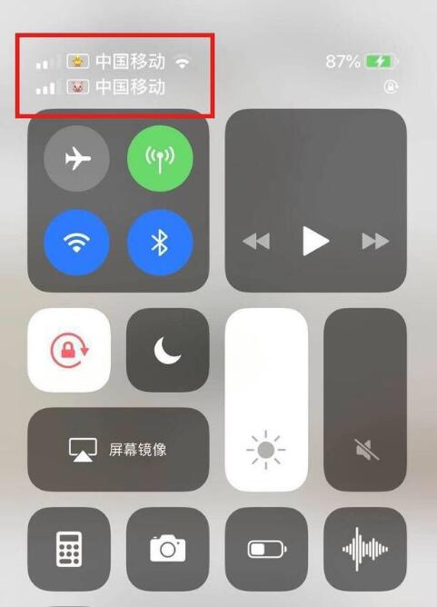 庐阳苹果手机维修分享为 iPhone 12 双卡设置标签 