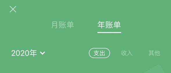 庐阳苹果手机维修分享如何在 iPhone 上查看支付宝和微信年支出账单 